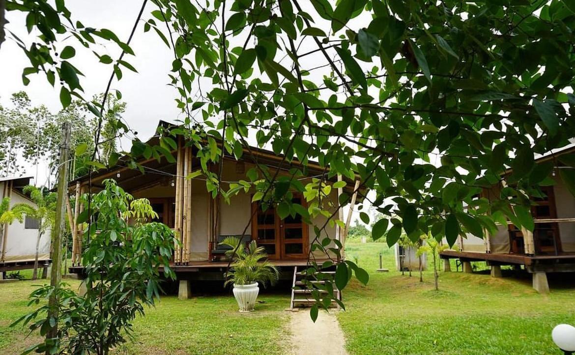 Houttuyn Wellness River Resort Paramaribo Ngoại thất bức ảnh