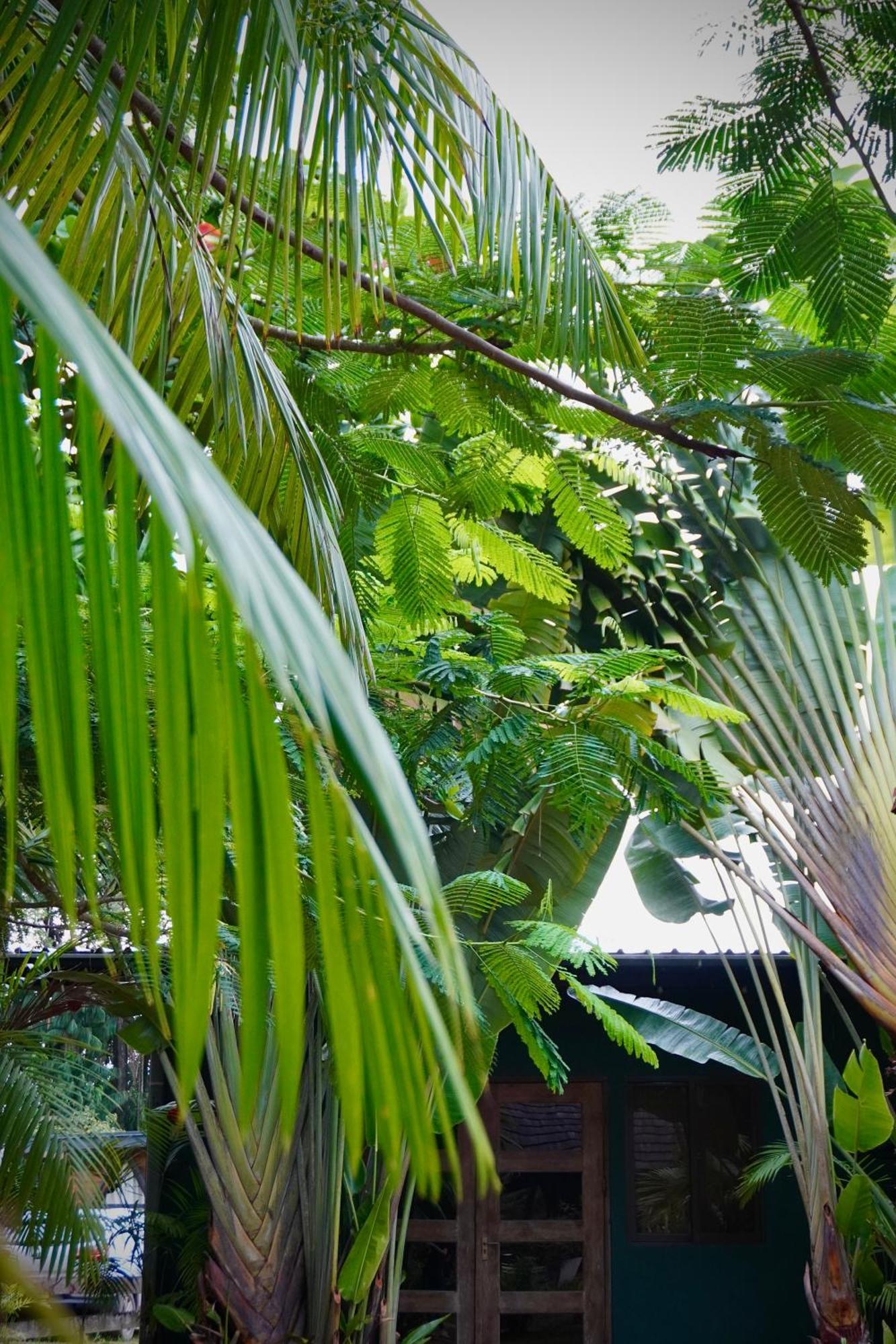 Houttuyn Wellness River Resort Paramaribo Ngoại thất bức ảnh