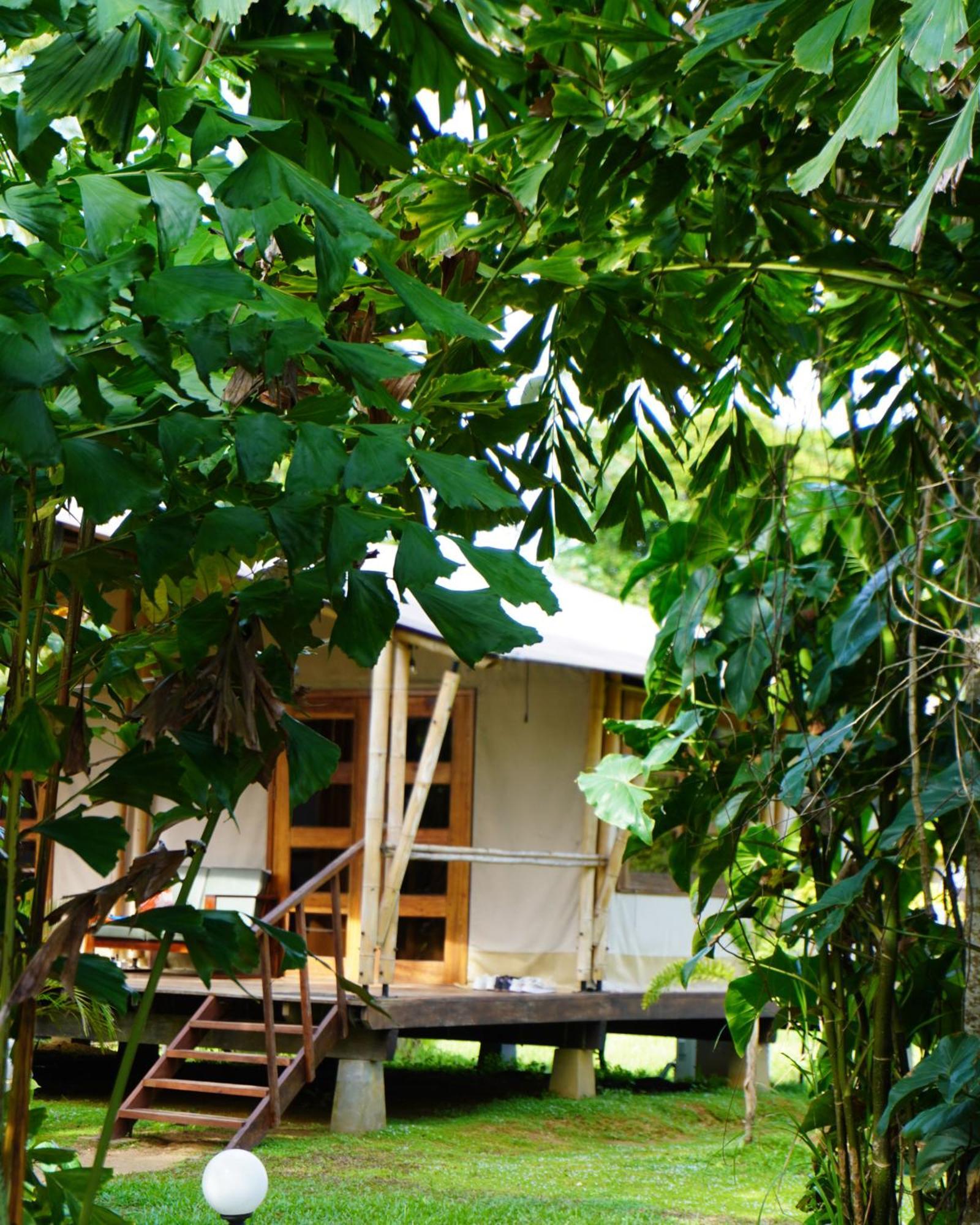 Houttuyn Wellness River Resort Paramaribo Ngoại thất bức ảnh