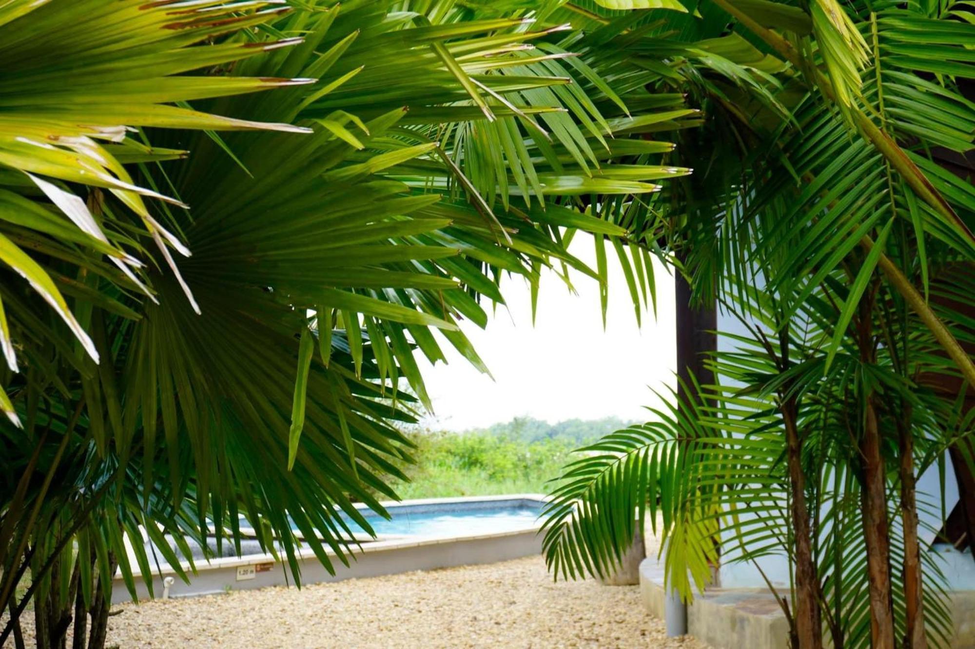 Houttuyn Wellness River Resort Paramaribo Ngoại thất bức ảnh