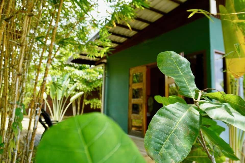 Houttuyn Wellness River Resort Paramaribo Ngoại thất bức ảnh